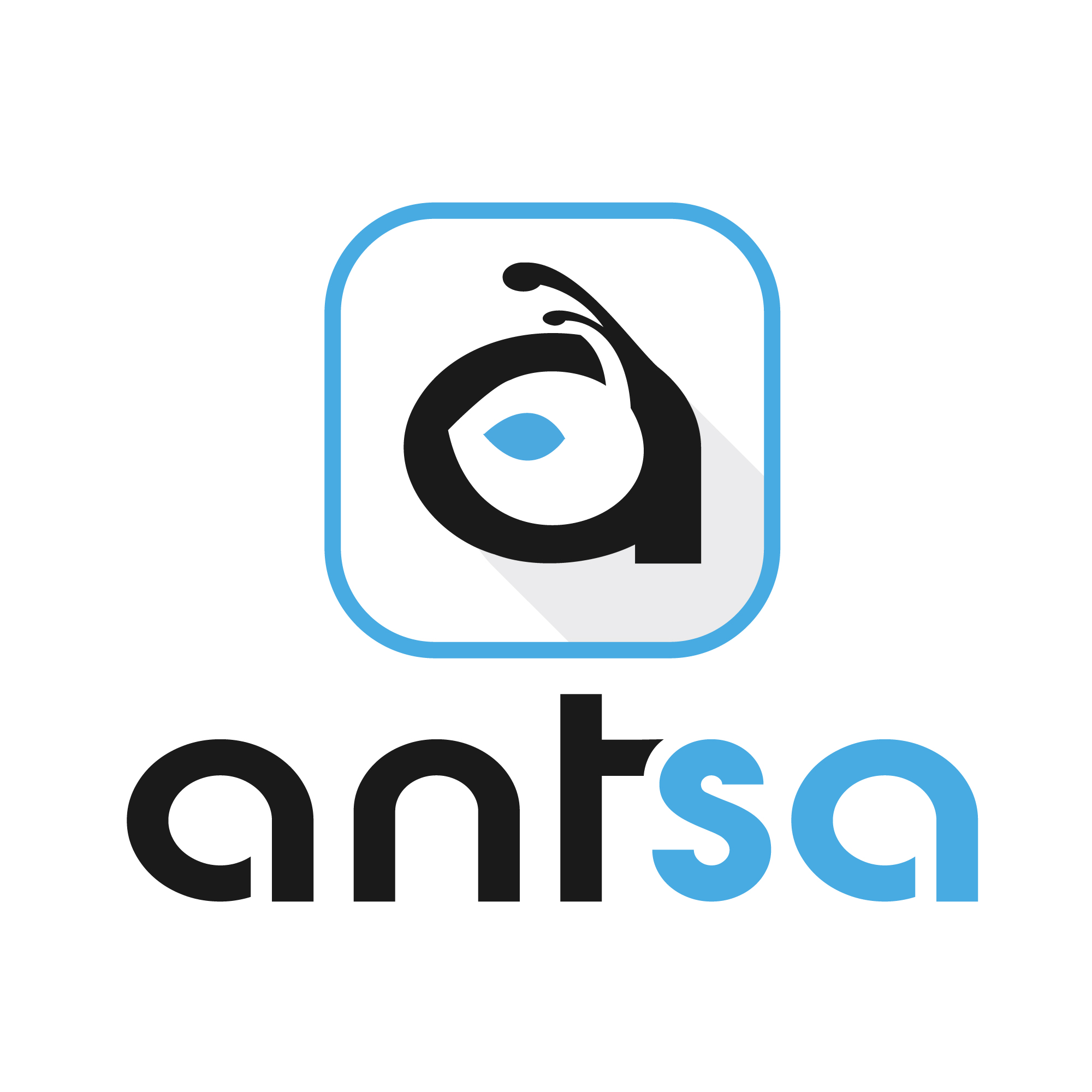 ANTSA photo